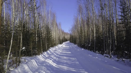 Similar image 22453272