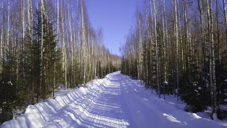 Similar image 22453301