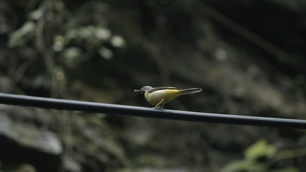 Similar image 22453364