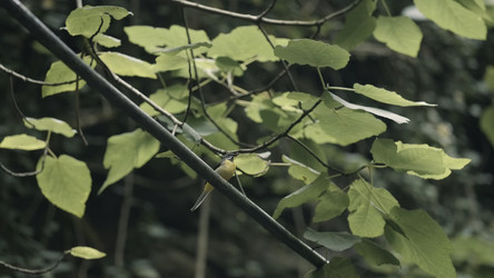 Similar image 22405363