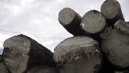 Similar image 22405377