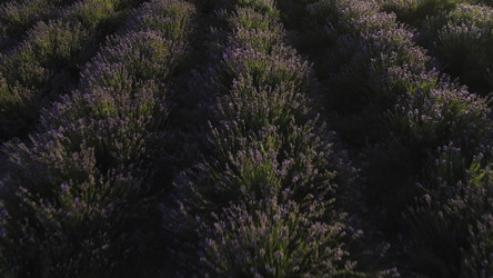 Similar image 22405733