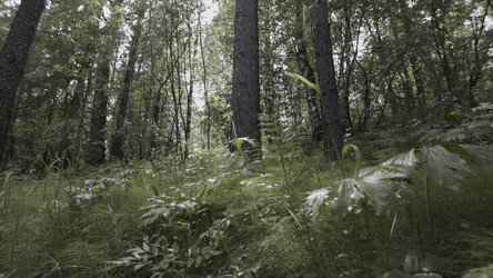 Similar image 22405747