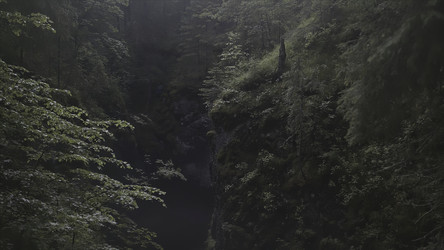 Similar image 22405820