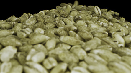 Similar image 22406014