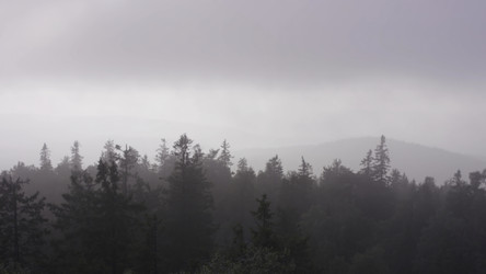 Similar image 22406086