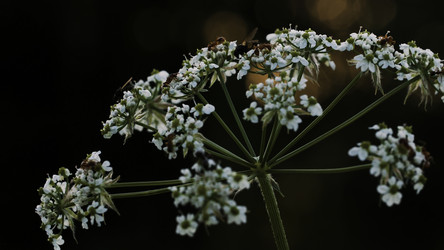 Similar image 22406269