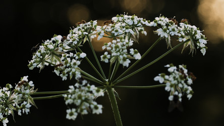 Similar image 22406526