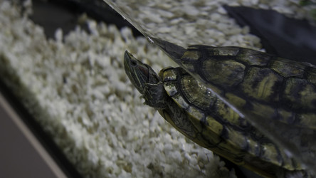 Similar image 22406630