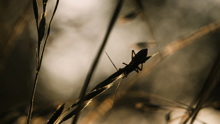 Similar image 22407202