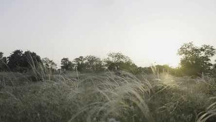 Similar image 22407288