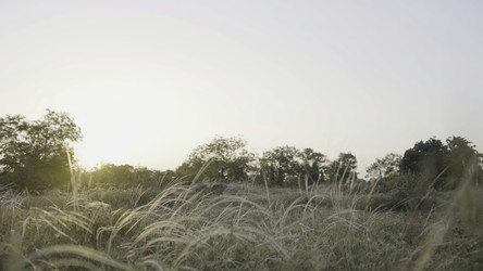 Similar image 22407396