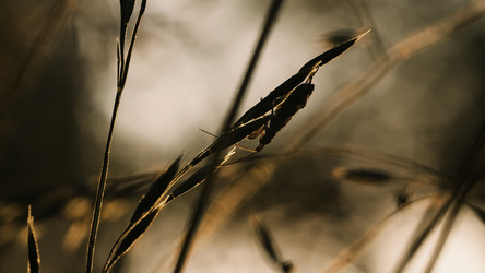 Similar image 22407517