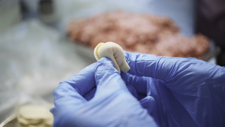 Similar image 22453178