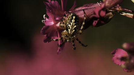 Similar image 22453179