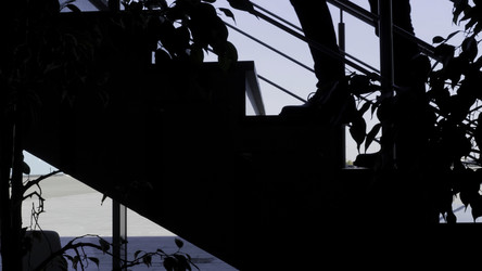 Similar image 22453194