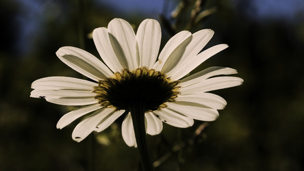 Similar image 22453196