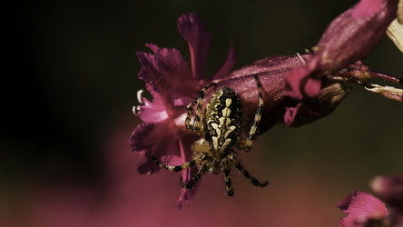 Similar image 22453208