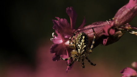 Similar image 22453211