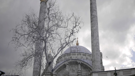 Similar image 22453224