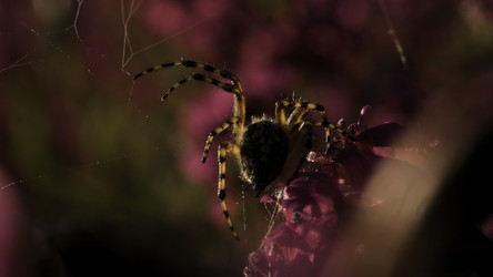 Similar image 22453239