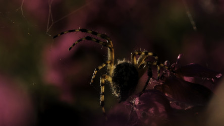 Similar image 22453259