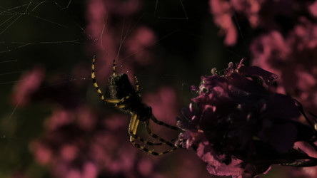 Similar image 22453302