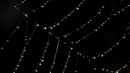 Similar image 22453319