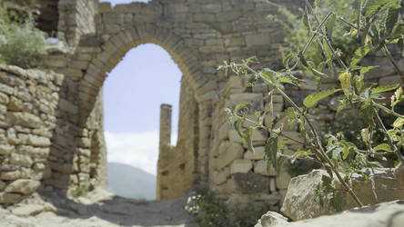 Similar image 22453365