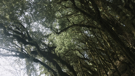 Similar image 22453377