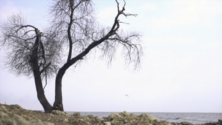 Similar image 22453394