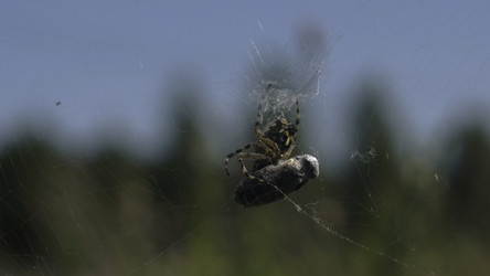 Similar image 22469895