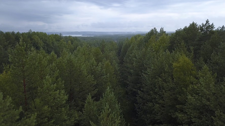 Similar image 22405379