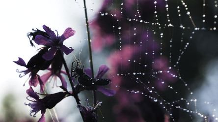 Similar image 22405469