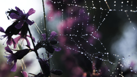 Similar image 22405867