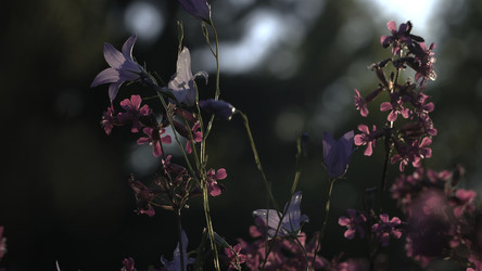 Similar image 22405925