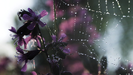 Similar image 22406002