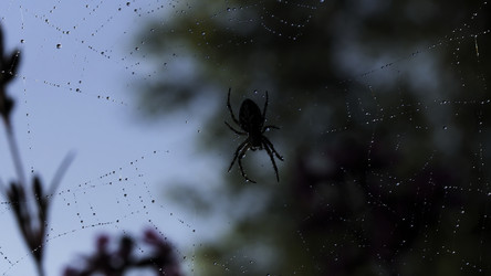 Similar image 22406087