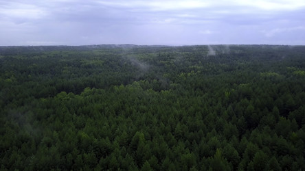 Similar image 22406557