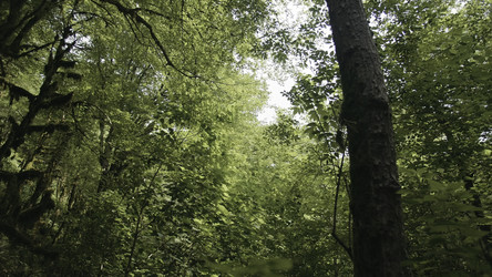 Similar image 22406768