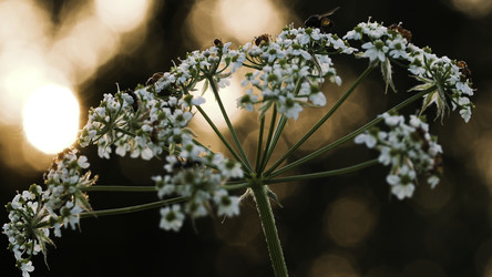 Similar image 22407158