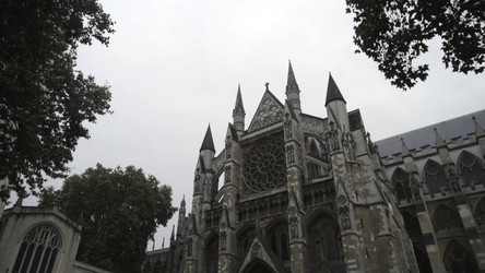 Similar image 22407307