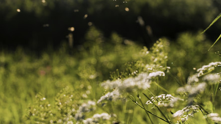 Similar image 22407367