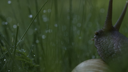 Similar image 22407428