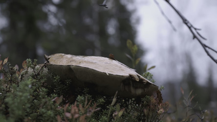 Similar image 22407458