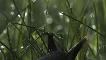 Similar image 22407485