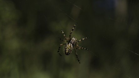 Similar image 22407532