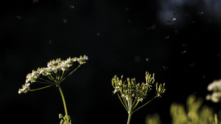 Similar image 22407548