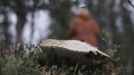 Similar image 22436276