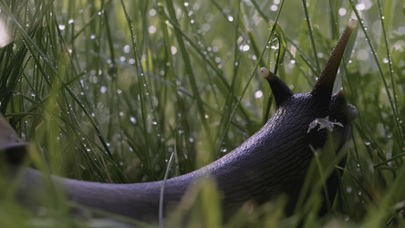 Similar image 22436277